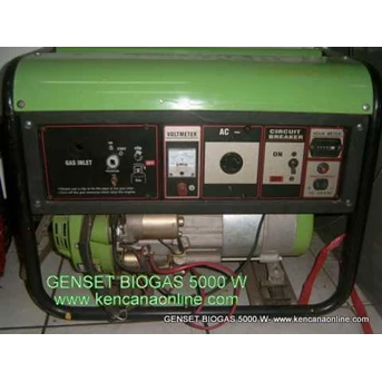 Genset Biogas ( Bio Elektrik Generator) BG 2500 W