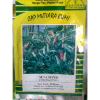 bibit cabe rawit SETA SUPER ( PRABU ARGO MANDIRI)