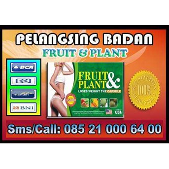 FRUIT & PLANT