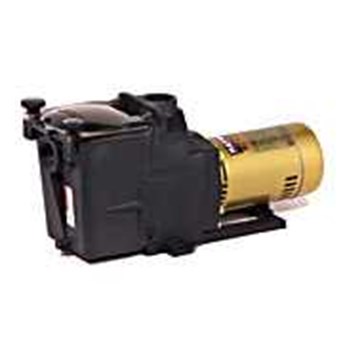 Pump Hayward super pump