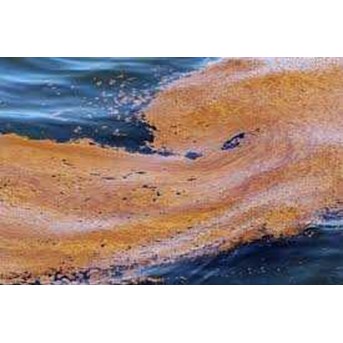Oil Spill