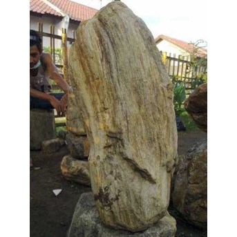 Fosil kayu # 001#