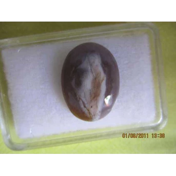 Batu Gambar burung platuk