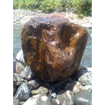 Fosil kayu