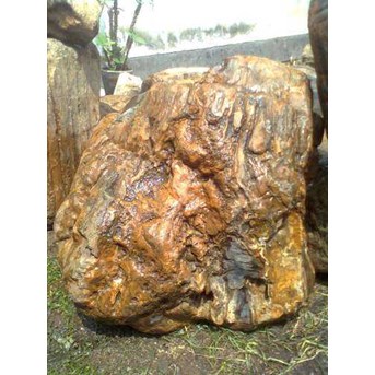 Fosil kayu # 005#