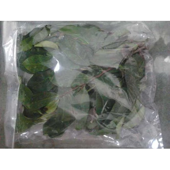 Daun Sirsak