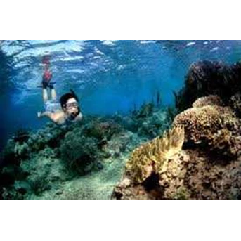 DIVING