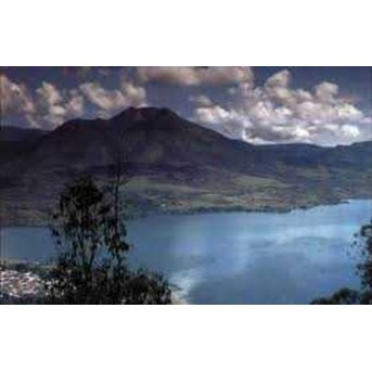 KINTAMANI