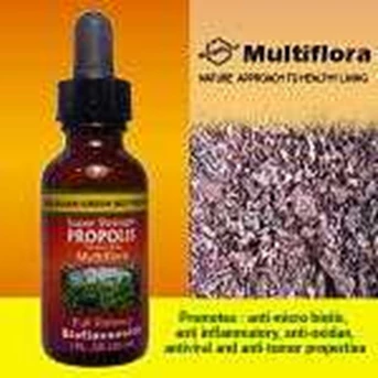 Propolis Brazil Strong Antioxidant Protection.