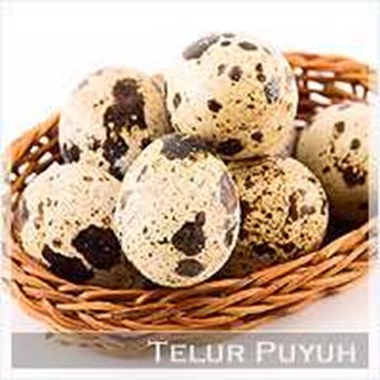 Telur Puyuh