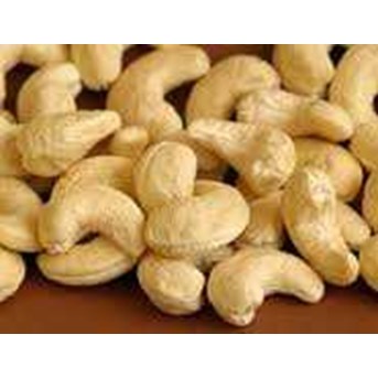 kacang mete sulawesi