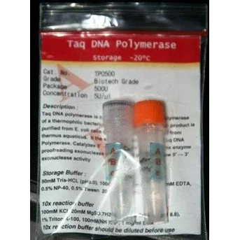 Taq DNA polymerase