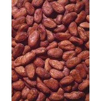 biji coklat kering