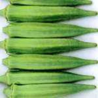 FRESH OKRA