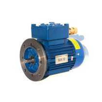 ELECTRIK MOTOR
