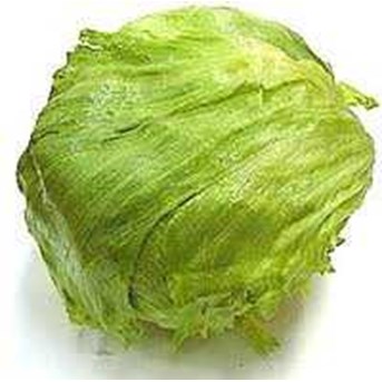 Letucce