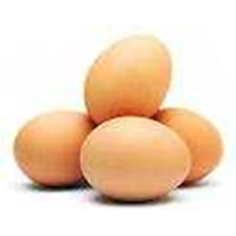 Telur telor ayam negri / Egg