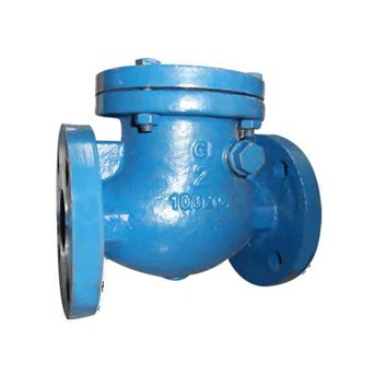 Swing Check Valve