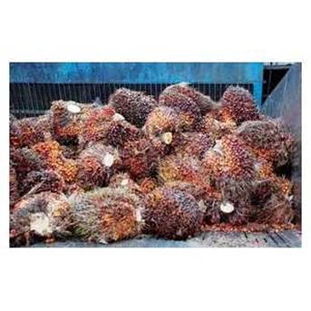Kawat Las untuk Pabrik Kelapa Sawit ( CPO/ Palm Oil), Kernel Oil ( PKO)