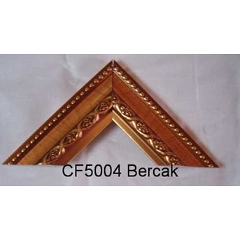 CF 5004-Bercak