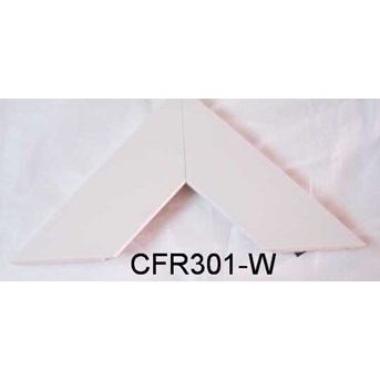 CF R301-W