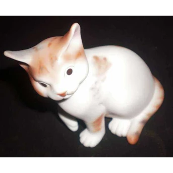 Cute Kitten