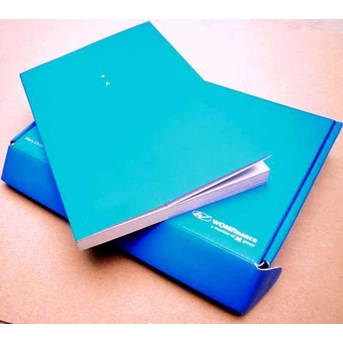 agenda wom finance