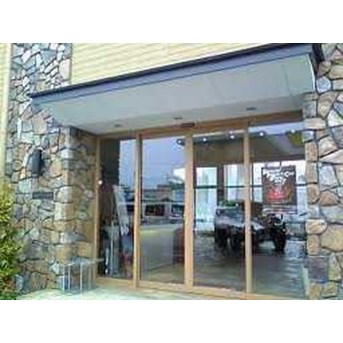 auto door