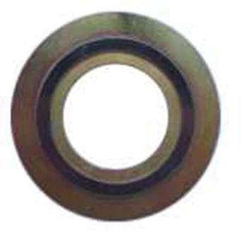 spiral wound gasket