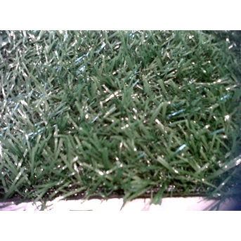 Rumput Sintetik ( leisure Grass)