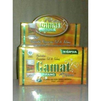 Gamat emas tripang