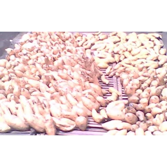 ubi cilembu