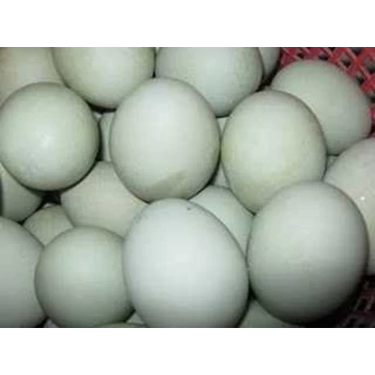 SEDIA TELOR ASIN MENTAH SUPER BERKUALITAS