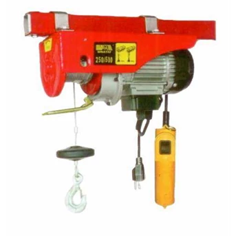 Electric Rope Hoist 500kg Aldo