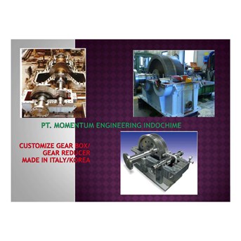 Gear Reducer ( Customize)