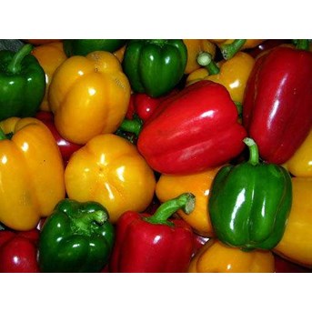 paprika