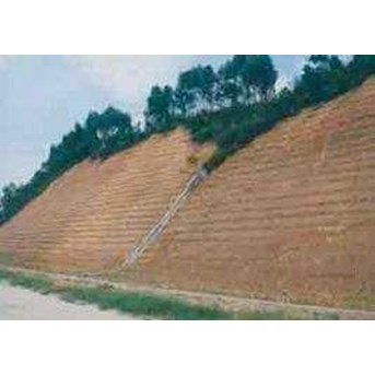Vertiver Grass