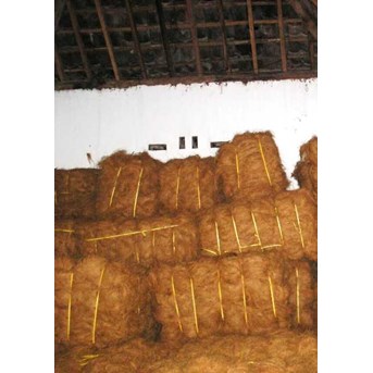 Coco Fiber