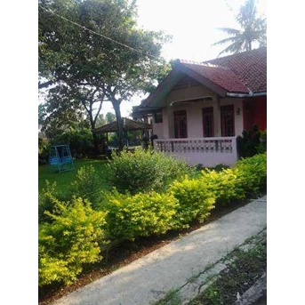 Villa Ciawi Puncak Bogor