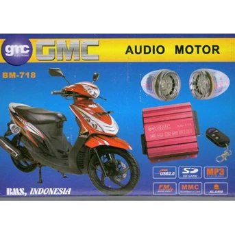 Audio Motor + Alarm Motor