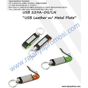 USB Flashdisk Model Gantungan Kunci LW USB 229