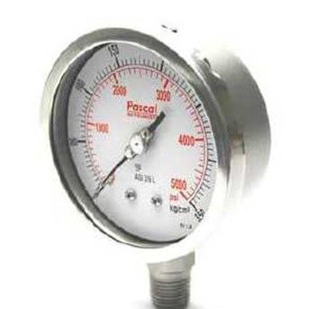 Pascal Process Pressure Gauge – Series PG