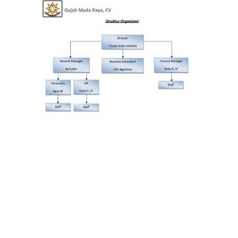 STRUKTUR ORGANISASI