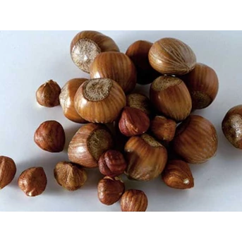 Minyak Kemiri ( Hazel Nut Oil)