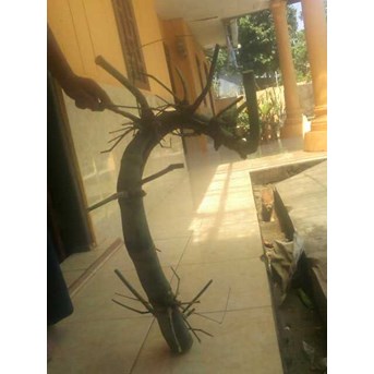 bamboo unik