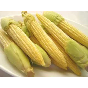 Jagung / Baby Corn