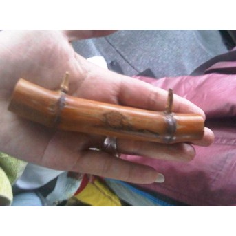 Bambu Buta