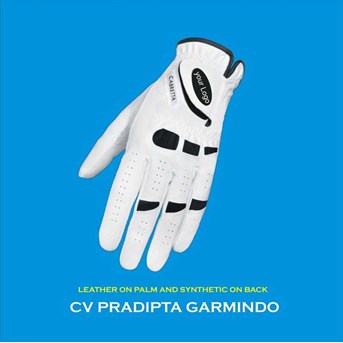 Golf Glove