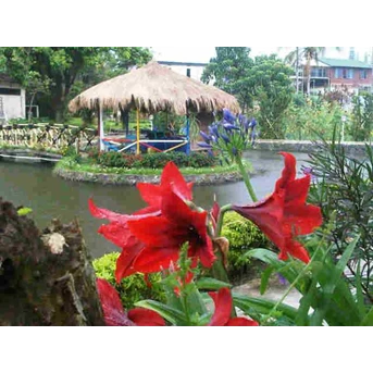 Gazebo tempat terapi listrik