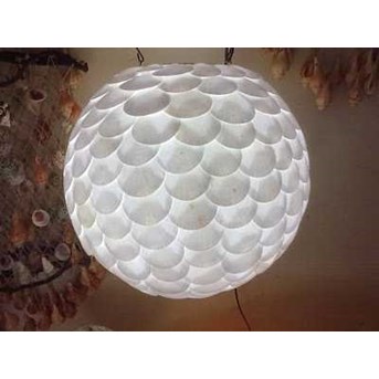 seashells lamp